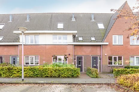 Chansondreef thumbnail