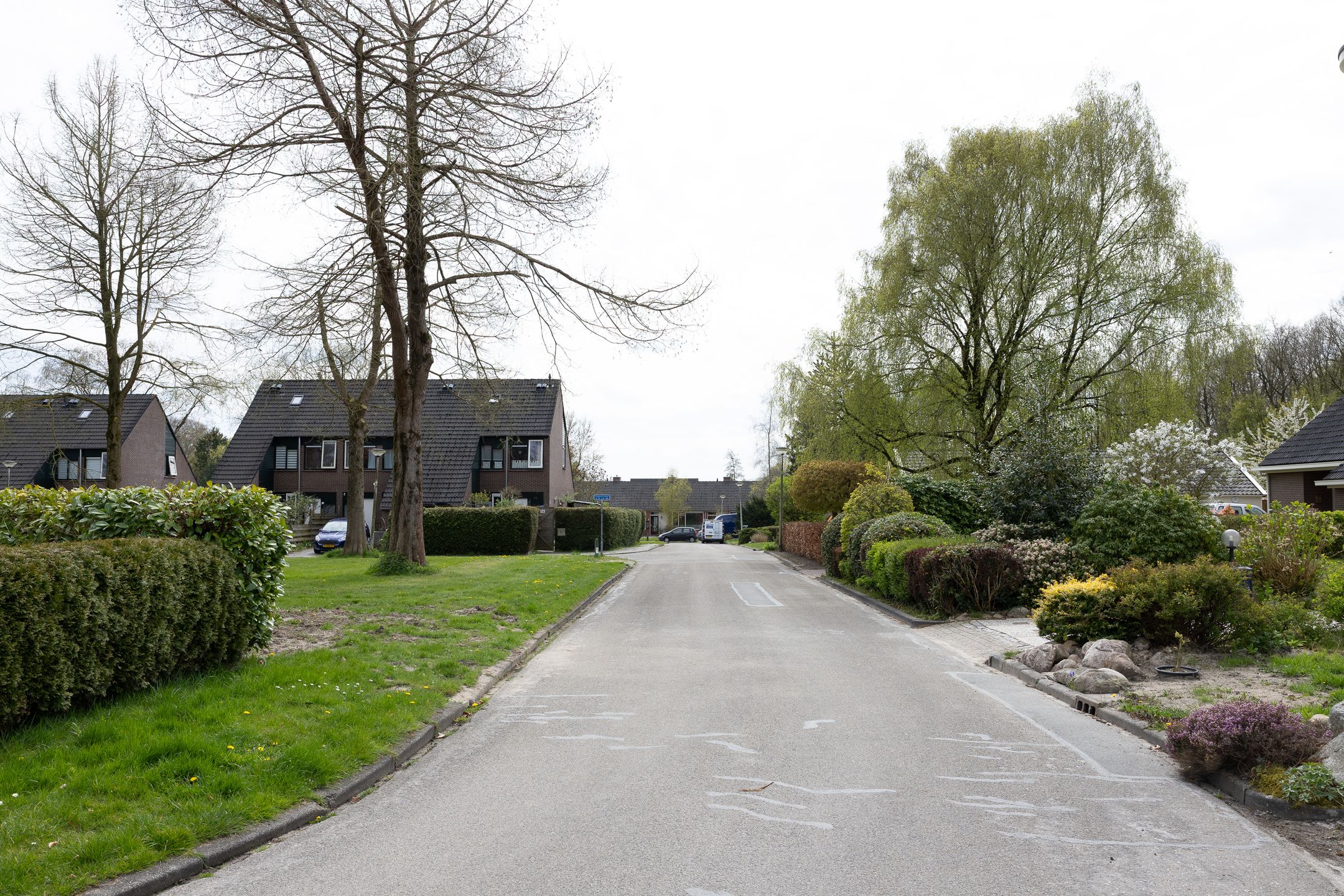 Foto 39 van Berkenlaan 25