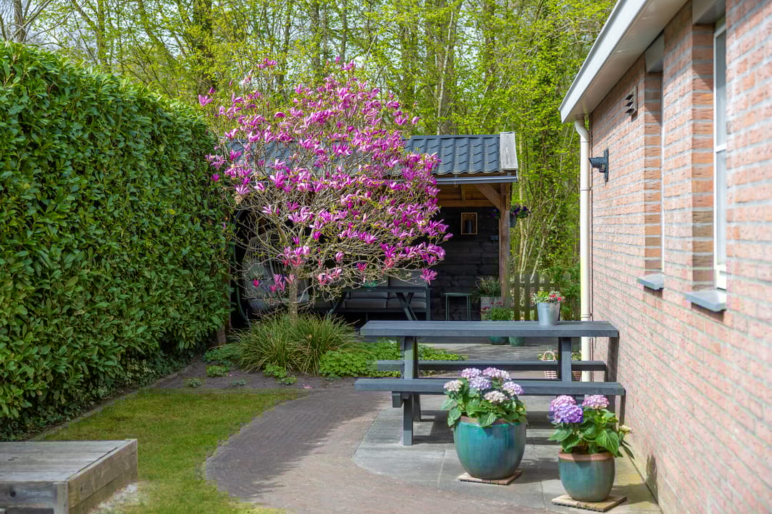 Foto 32 van Berkenlaan 25