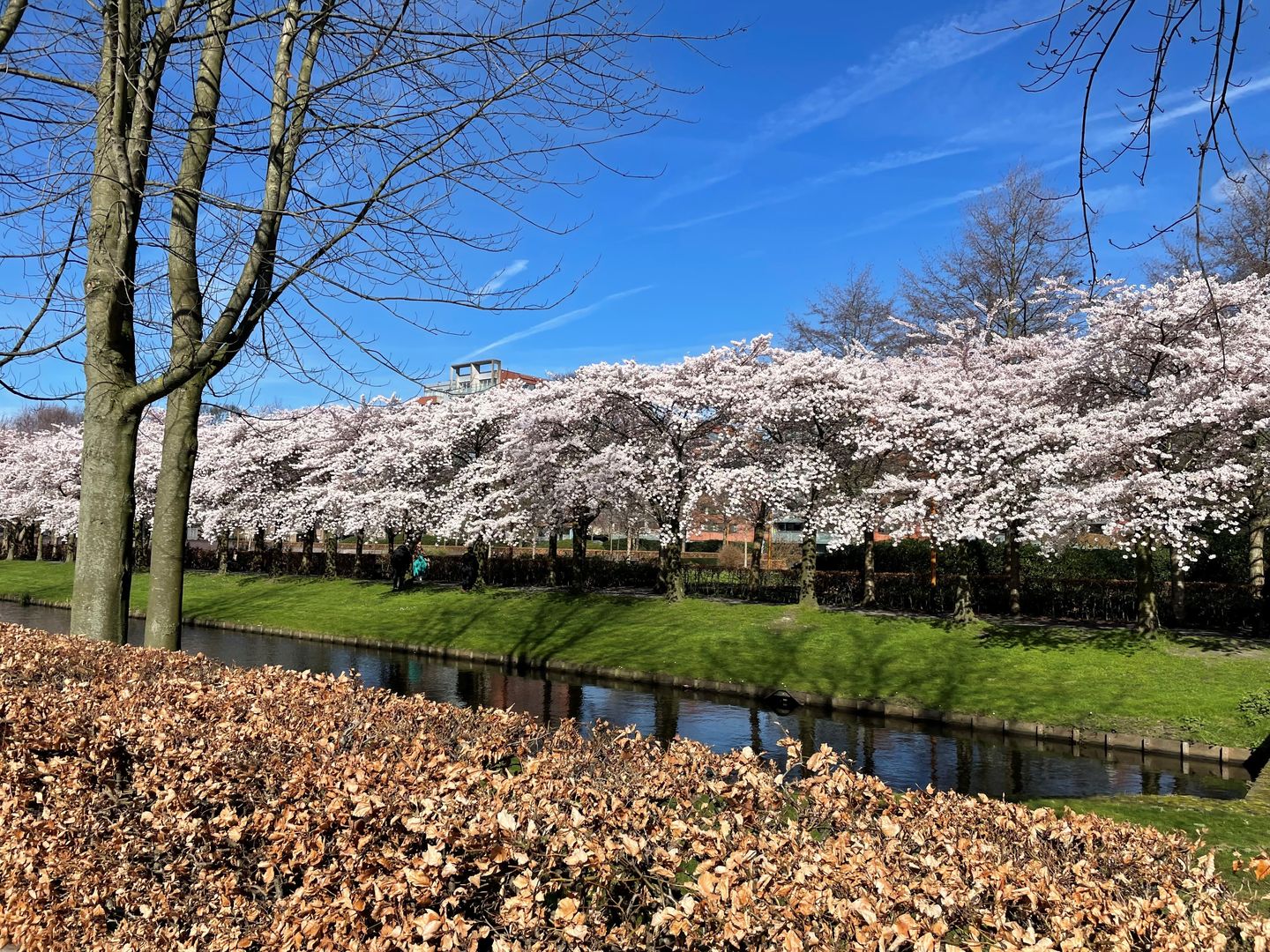 Foto 29 van Kamerlingh Onnesstraat 111