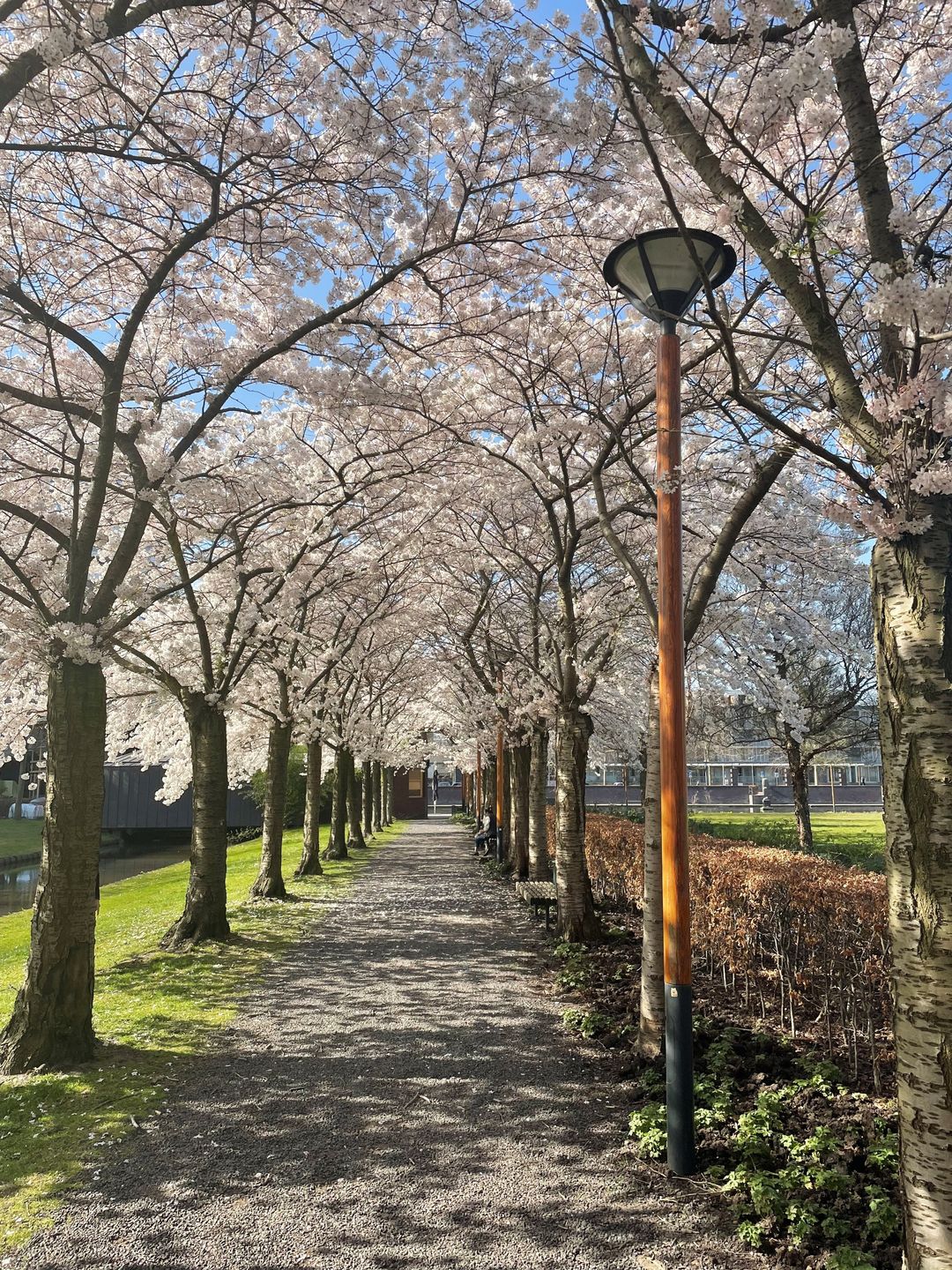 Foto 28 van Kamerlingh Onnesstraat 111