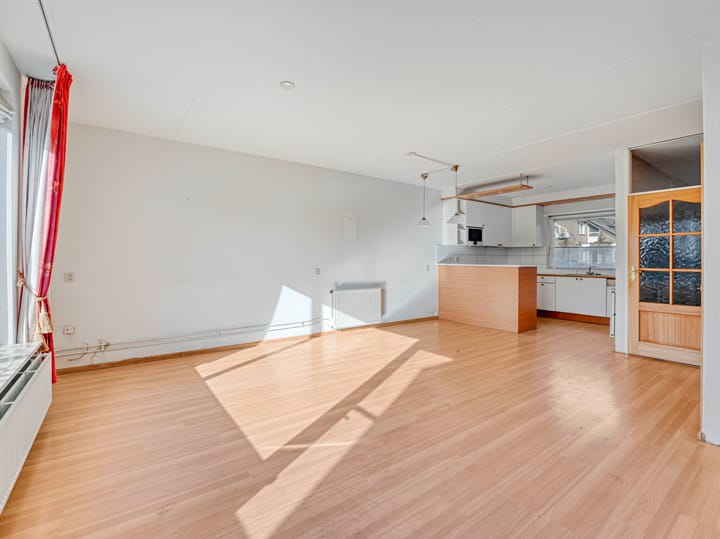 Foto 2 van Roerdomp 44