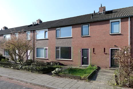 Berberisstraat thumbnail