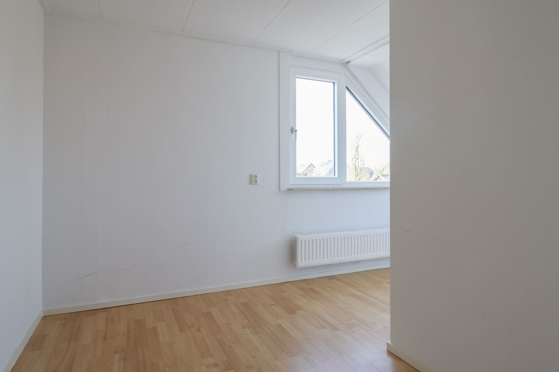 Foto 42 van Eilânsgrien 8