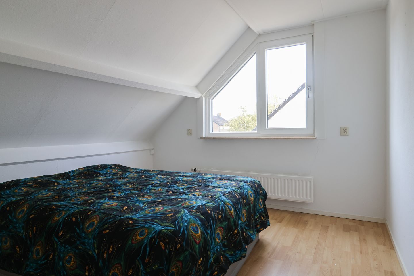 Foto 44 van Eilânsgrien 8