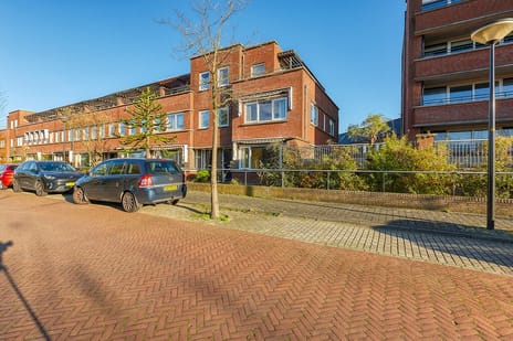 undefined main image
