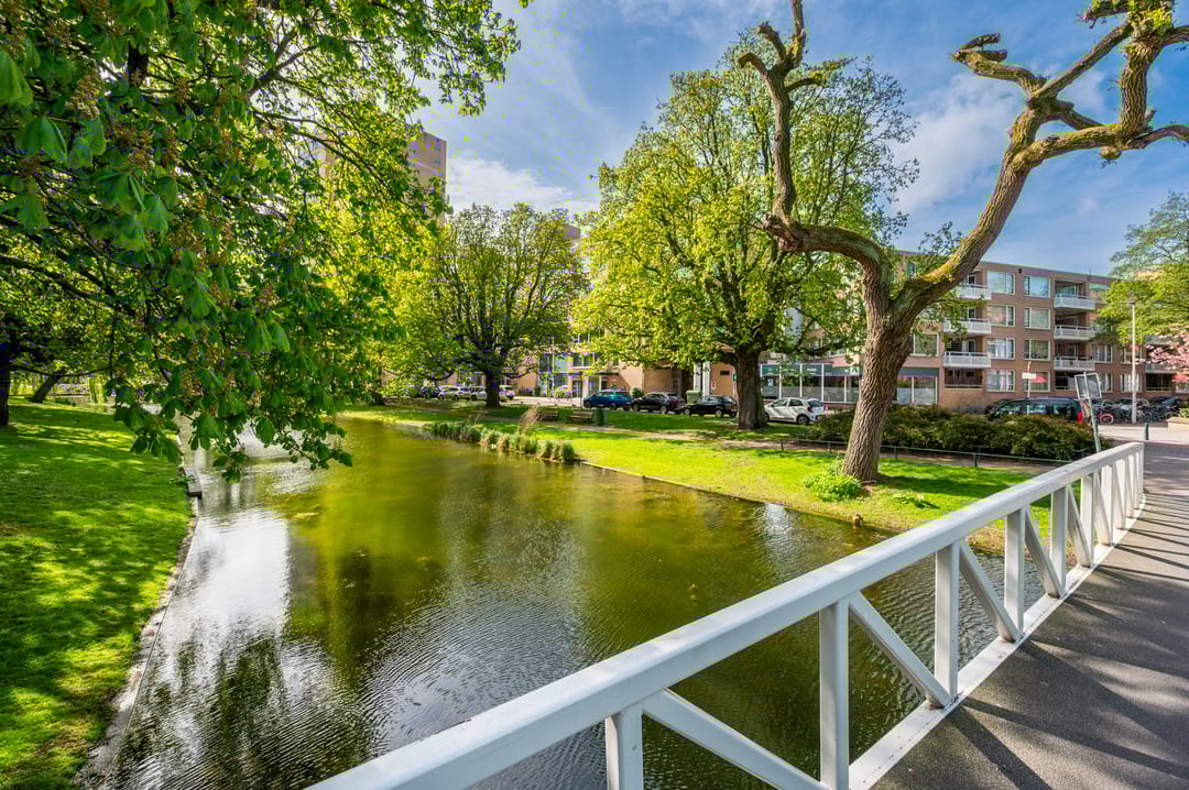 Foto 56 van Bergsingel 221