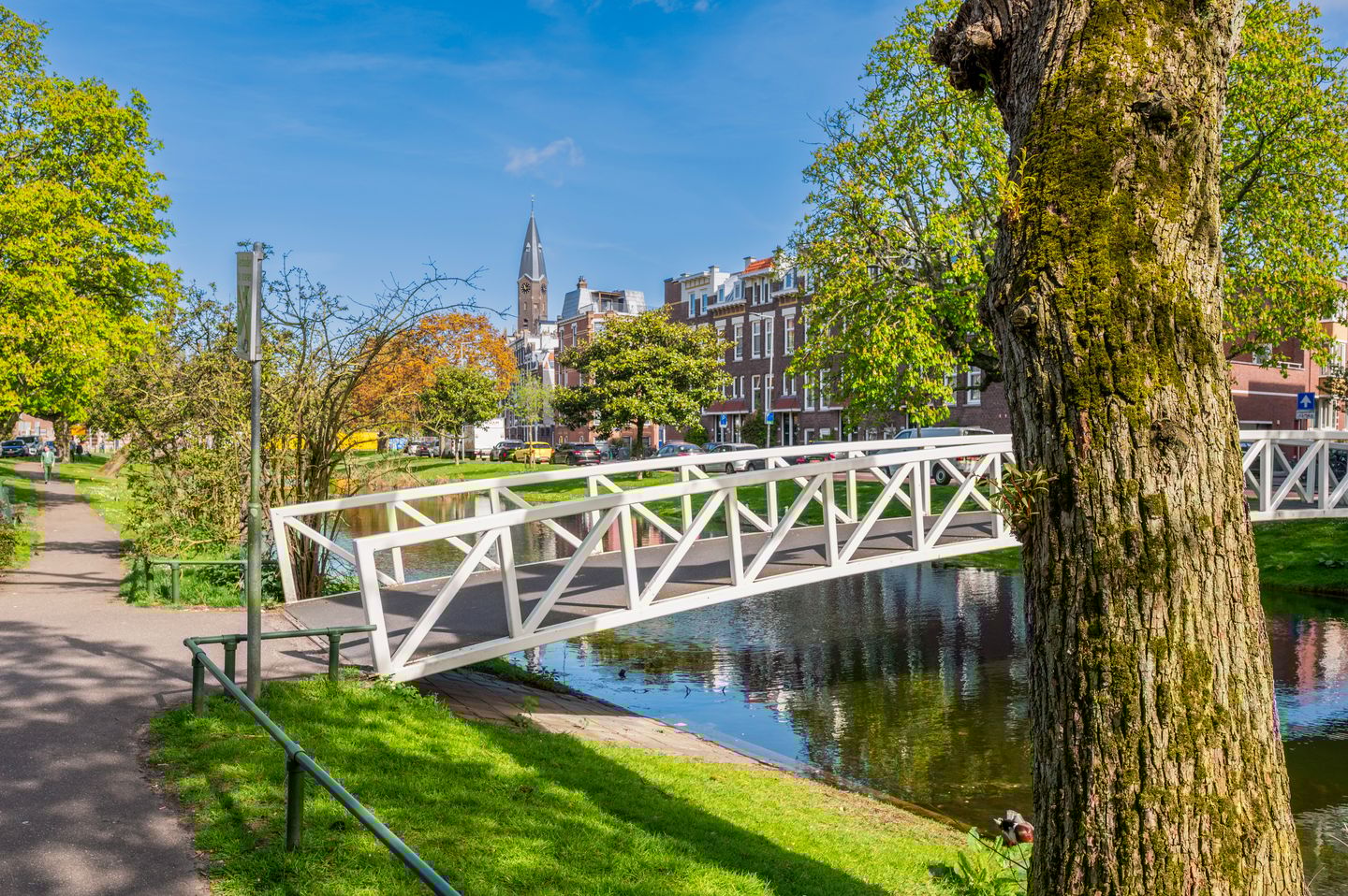 Foto 55 van Bergsingel 221