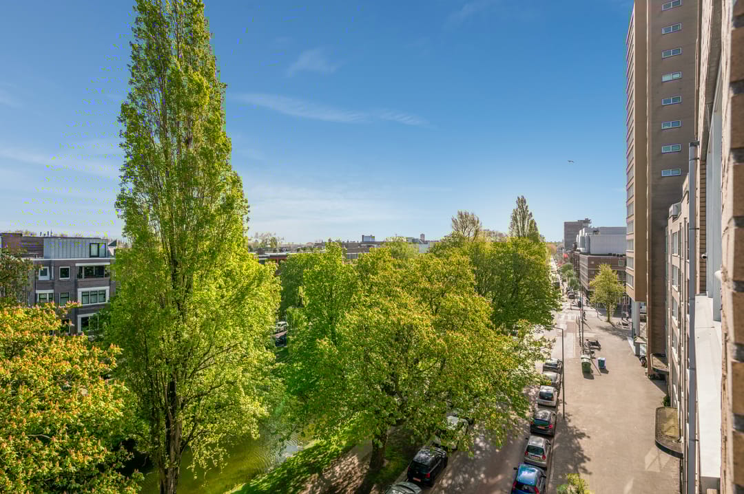 Foto 26 van Bergsingel 221