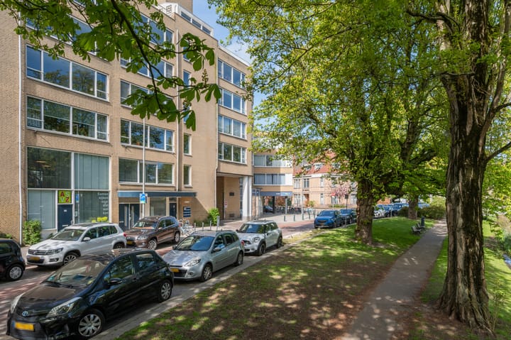 Foto 3 van Bergsingel 221