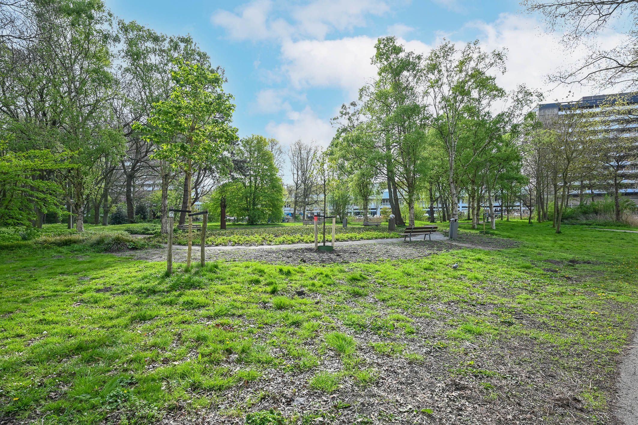 Foto 21 van Granaathorst 433