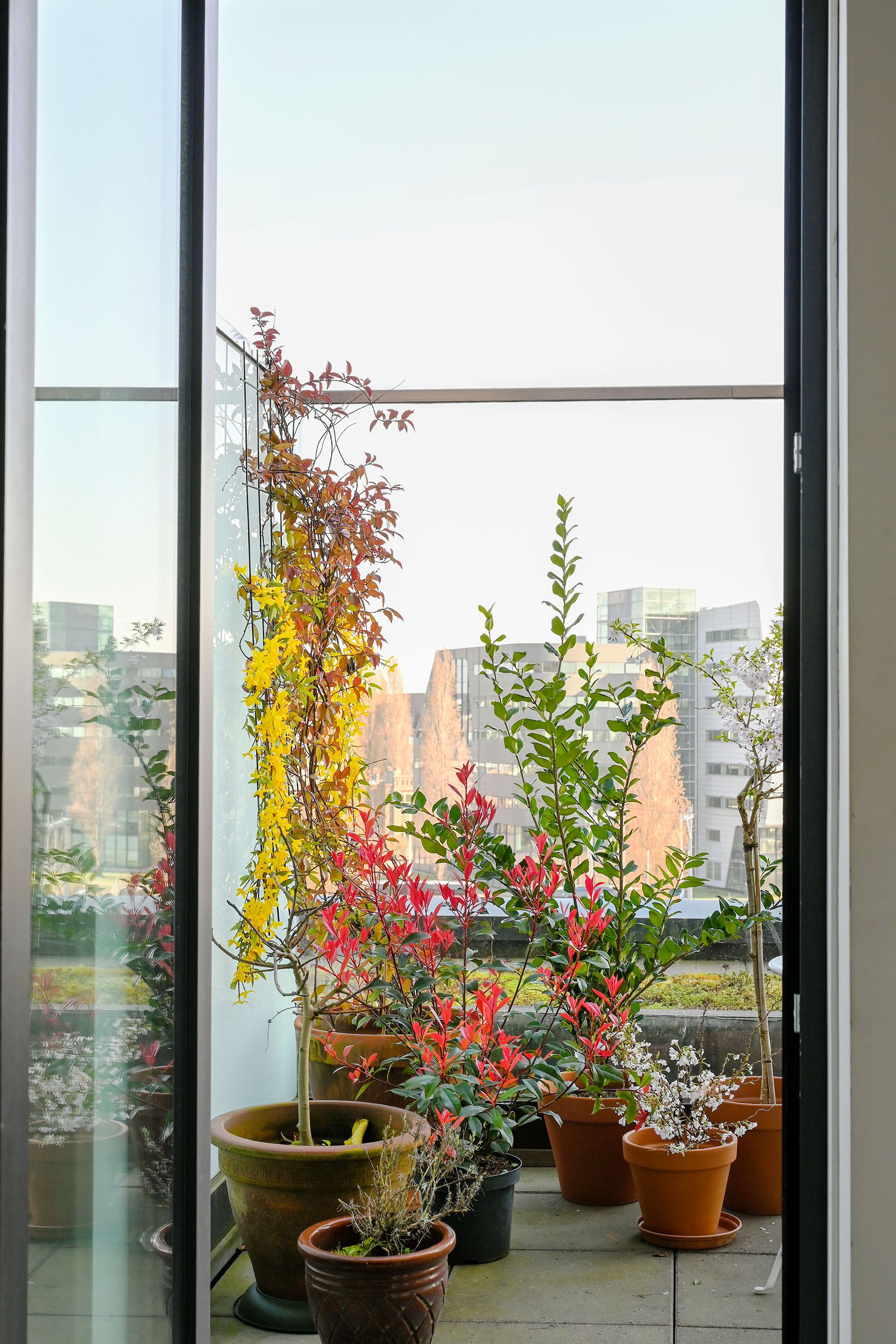 Photo 3 of Isaac Titsinghkade 249