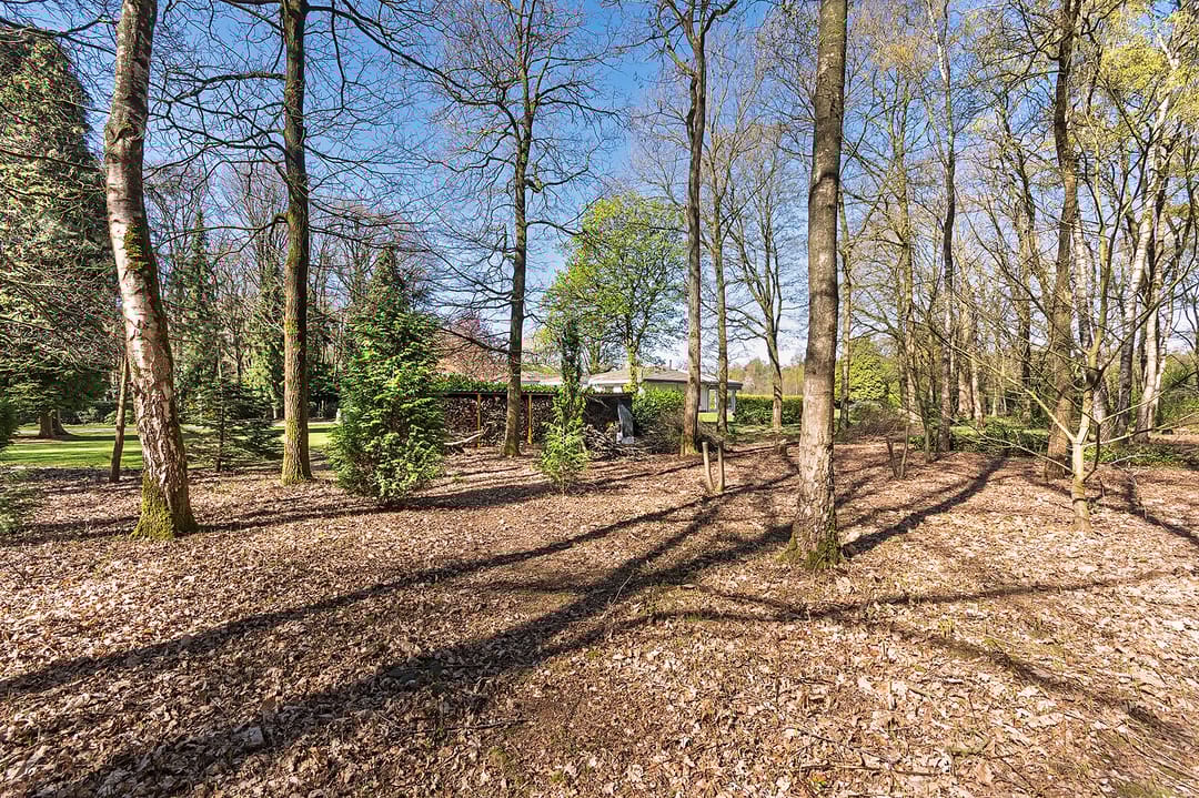 Foto 62 van Papenbergseweg 9