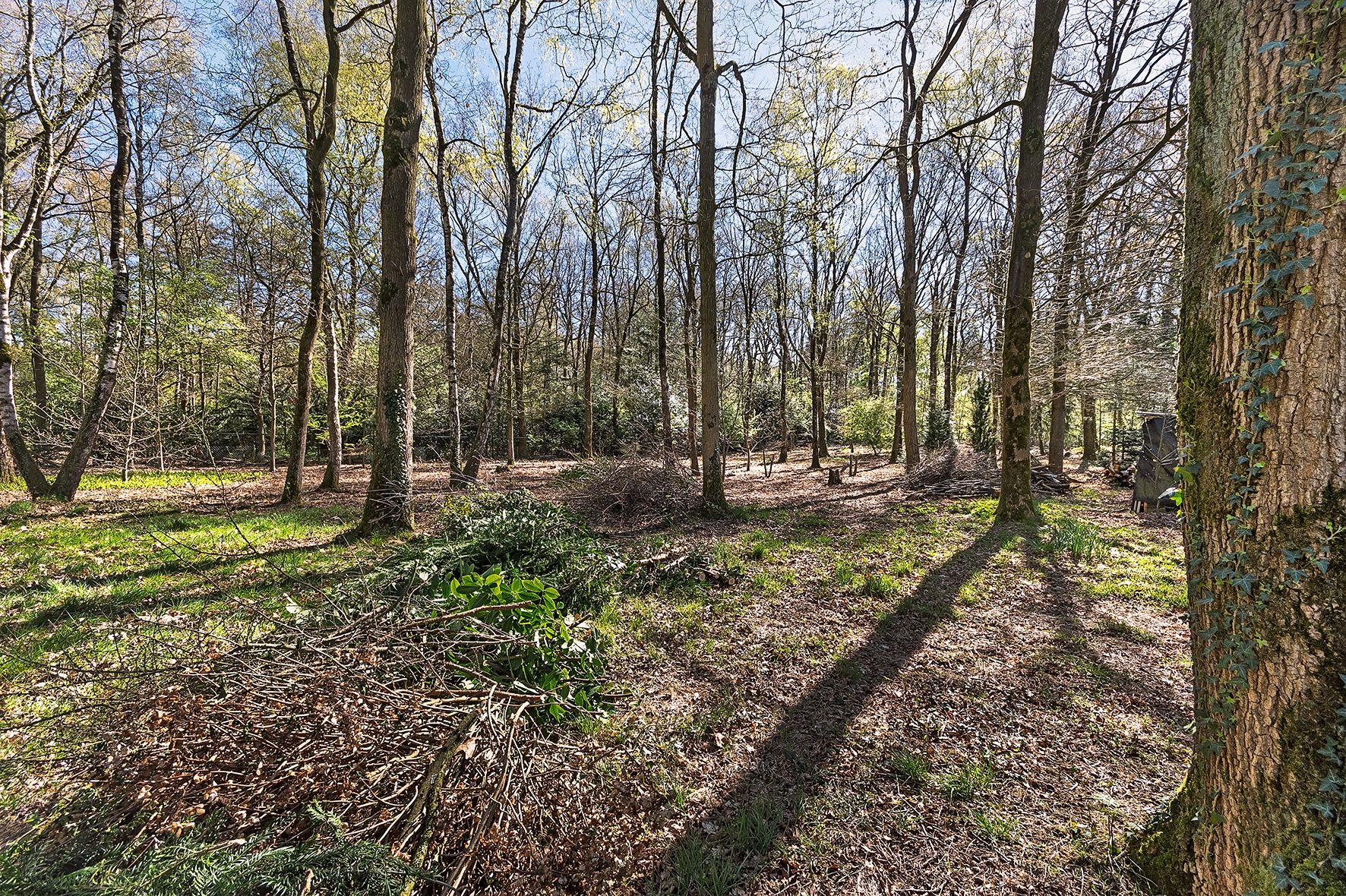 Foto 63 van Papenbergseweg 9