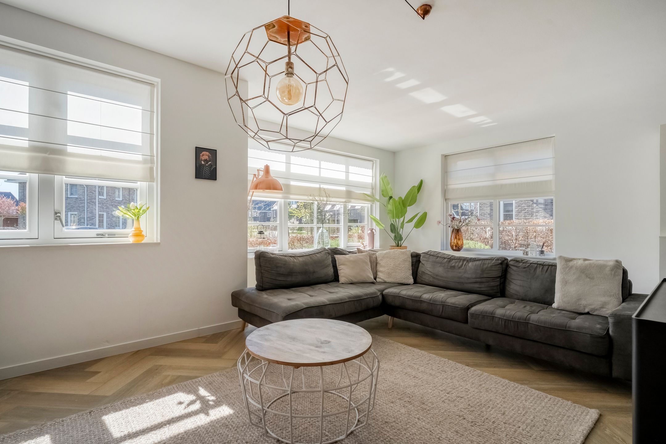 Foto 12 van Lantheer 44