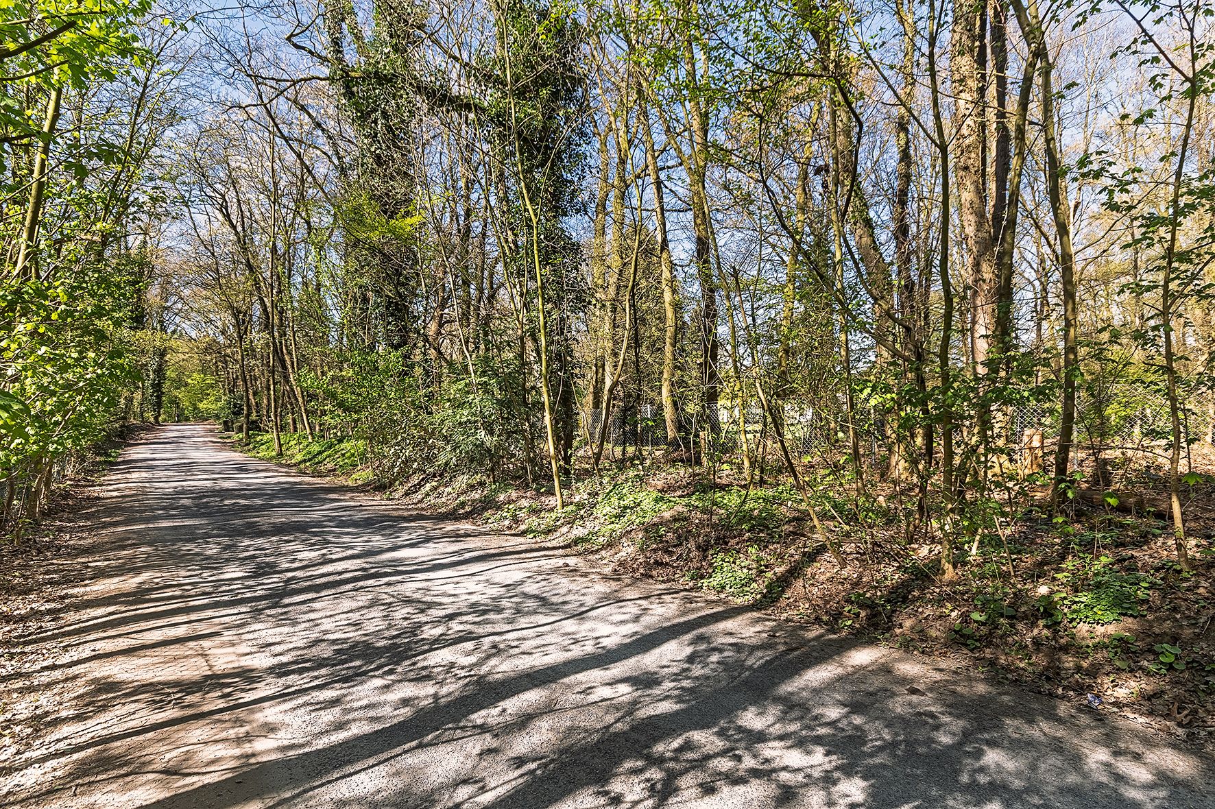 Foto 69 van Papenbergseweg 9