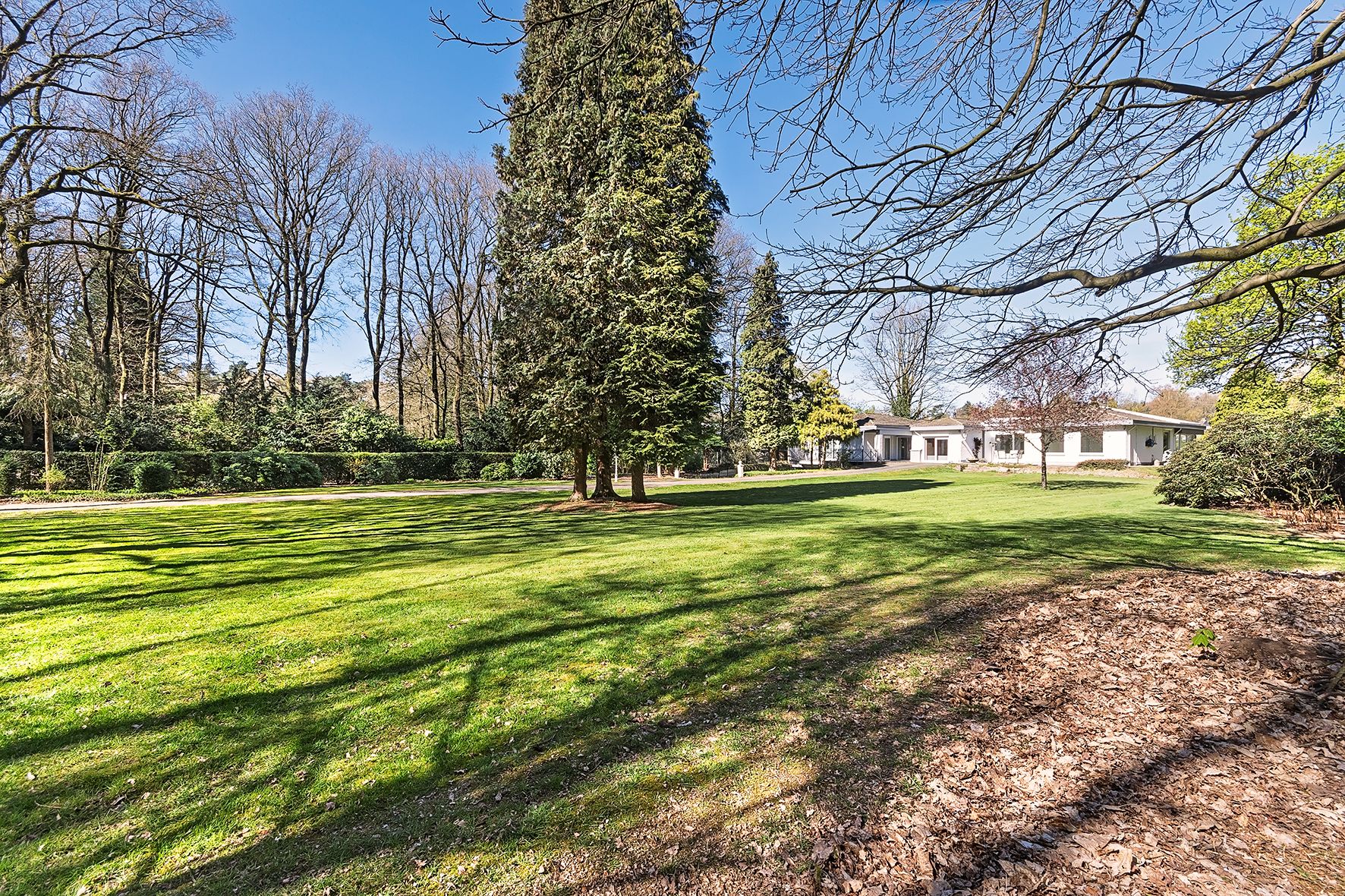 Foto 54 van Papenbergseweg 9