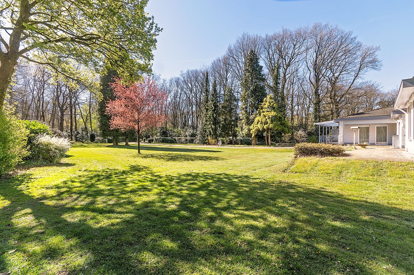 Foto 50 van Papenbergseweg 9