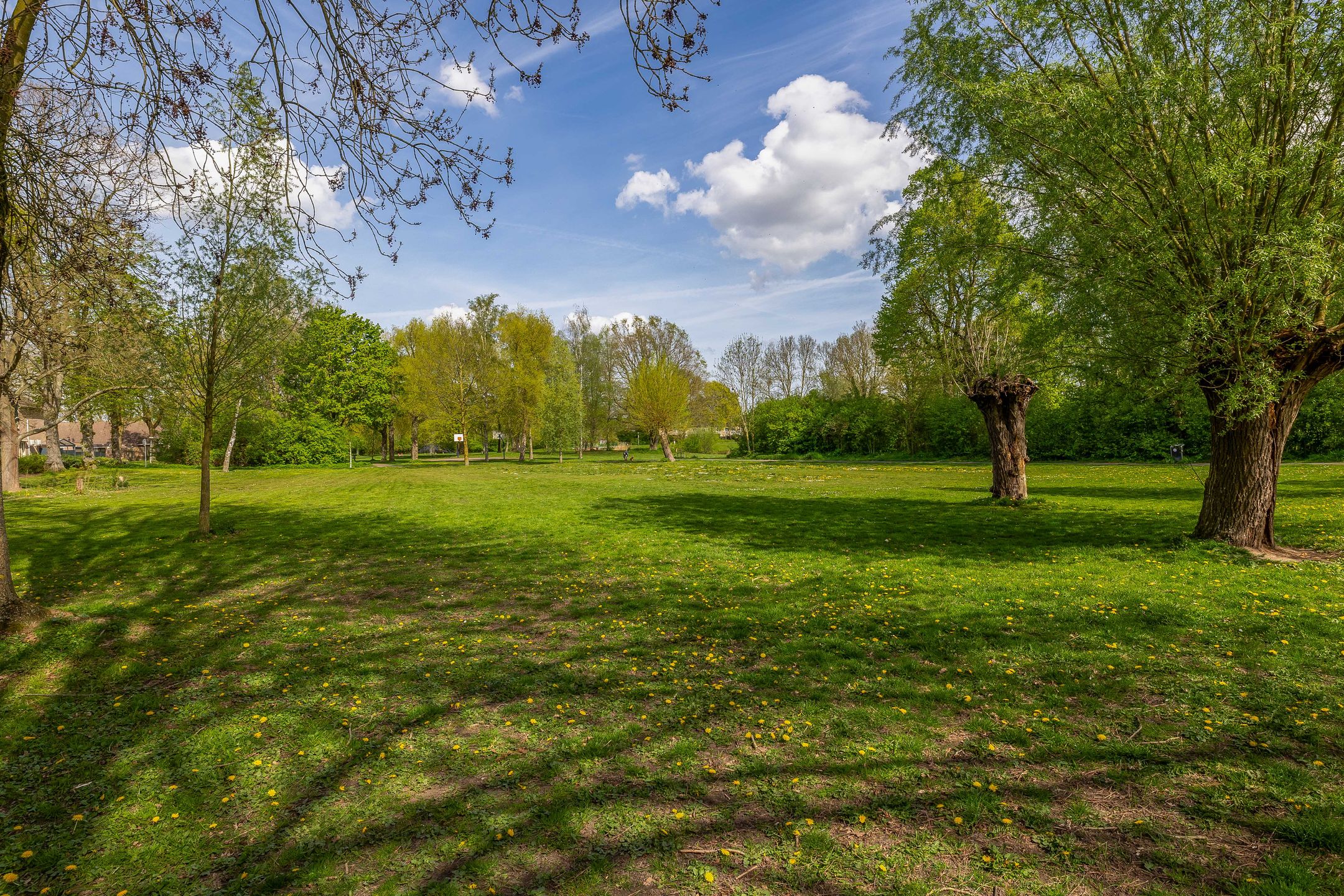 Foto 45 van Privaspad 9