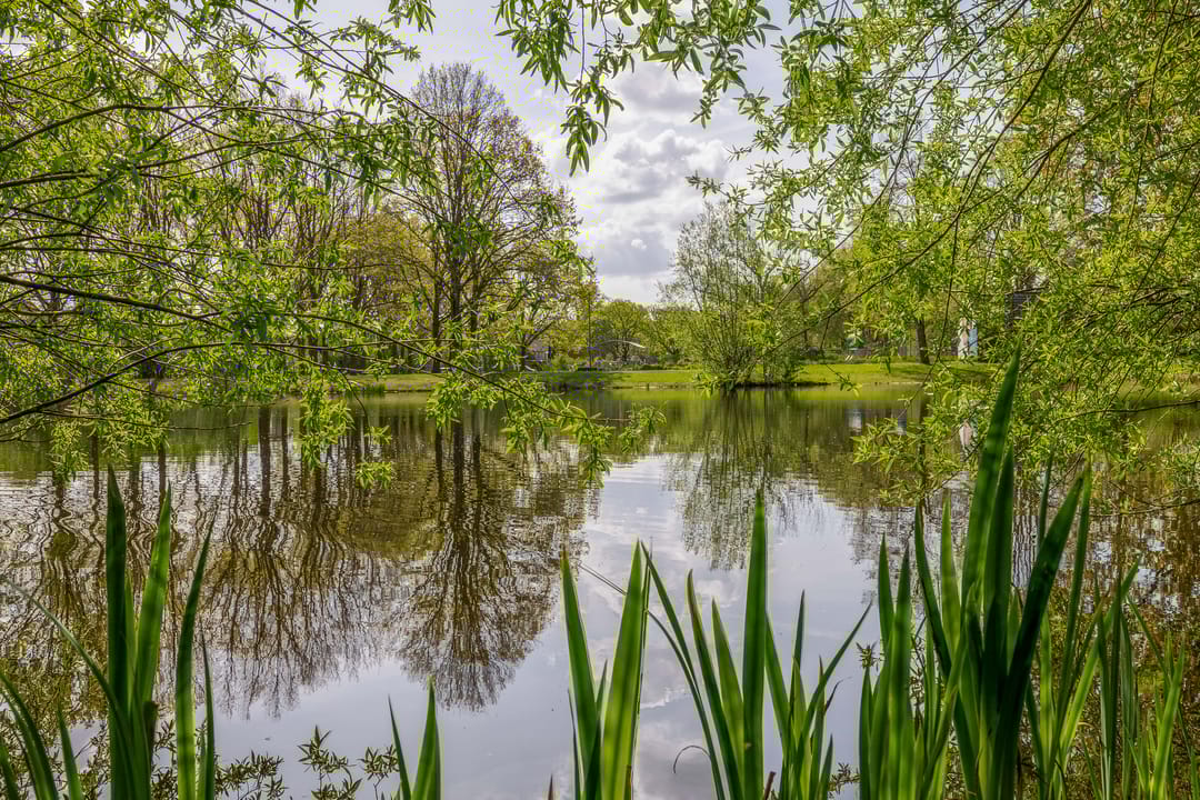 Foto 46 van Privaspad 9