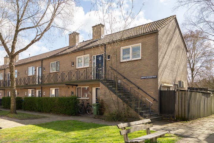 Paulus Potterstraat 95