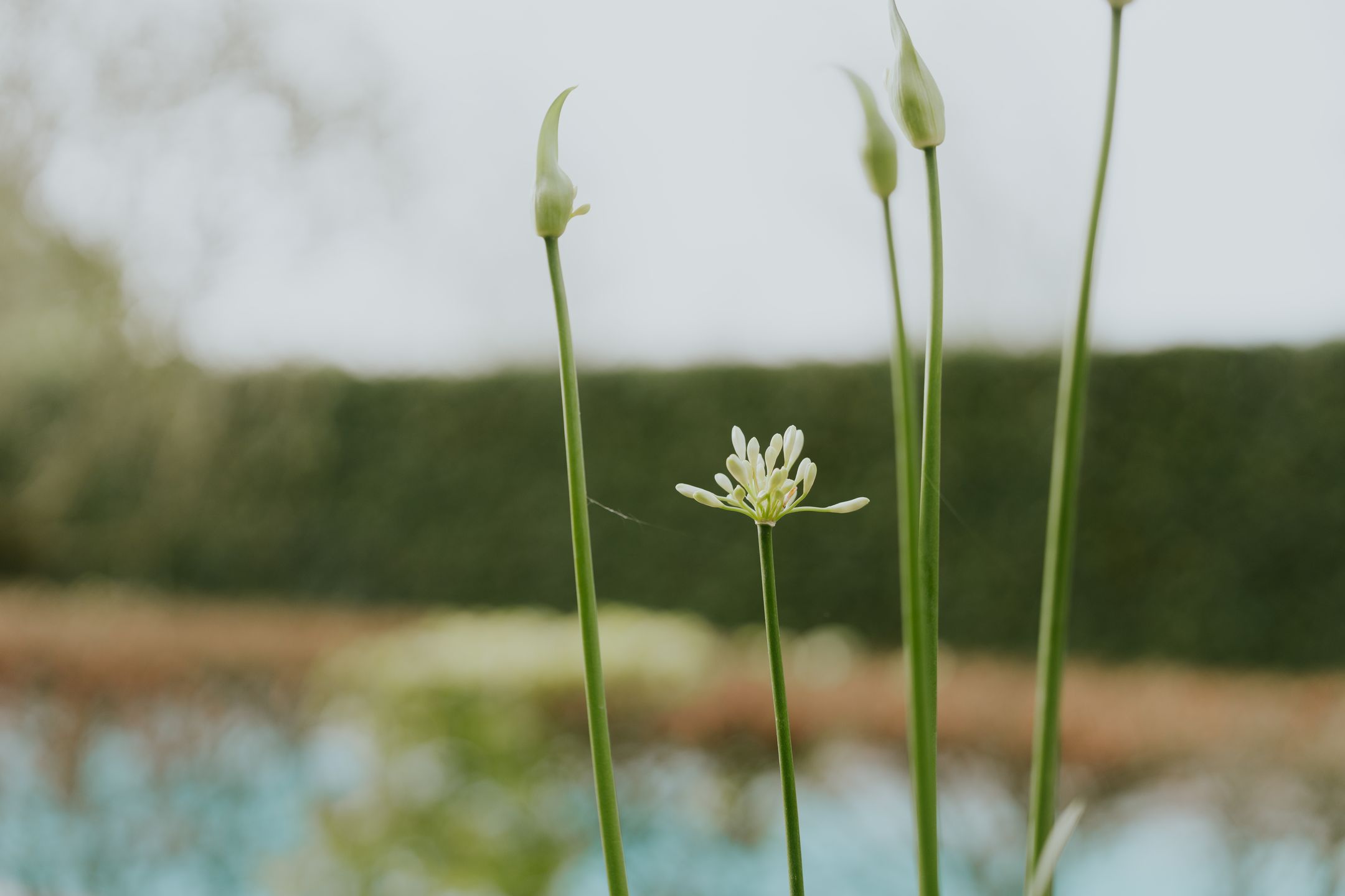 Foto 63 van Bronkhorstdreef 24