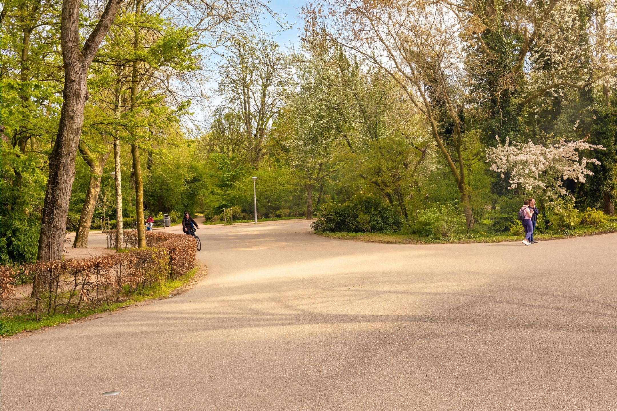 Photo 39 of Woestduinstraat 143-2