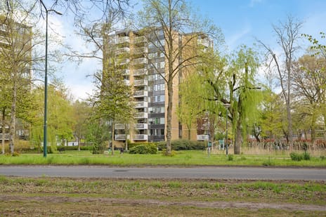 Johannes Poststraat thumbnail