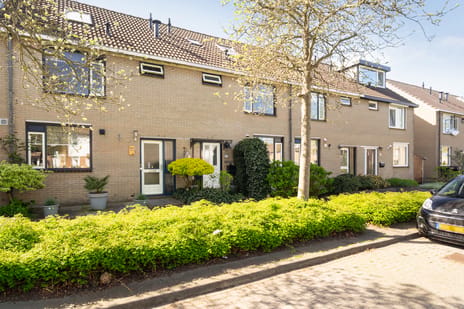 Weidebloemenlaan thumbnail