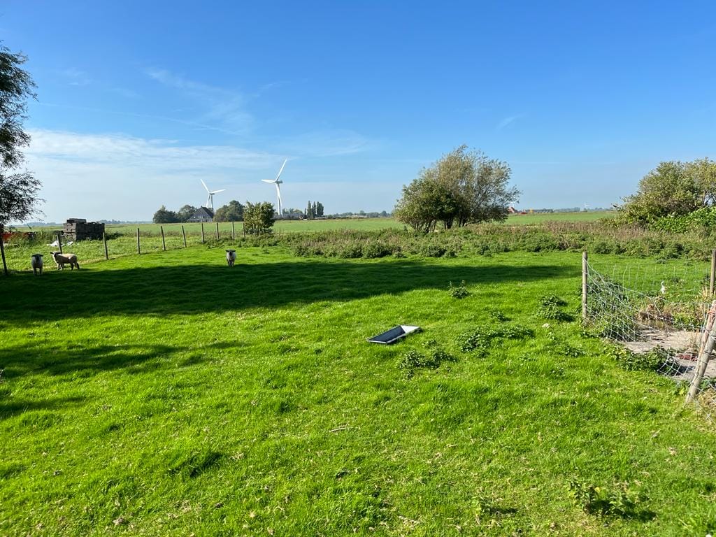 Bekijk foto 5 van Walperterwei 41-1