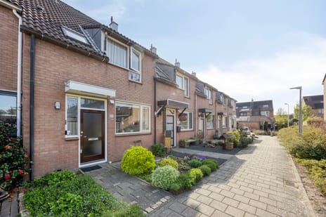 Jan de Geusrede thumbnail