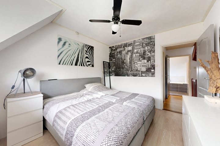 Foto 4 van Oesterzwam 17-A