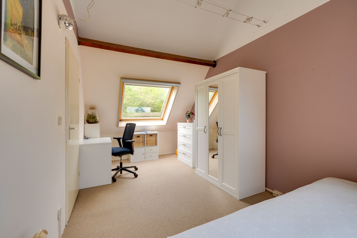 Foto 40 van Hunzebos 6