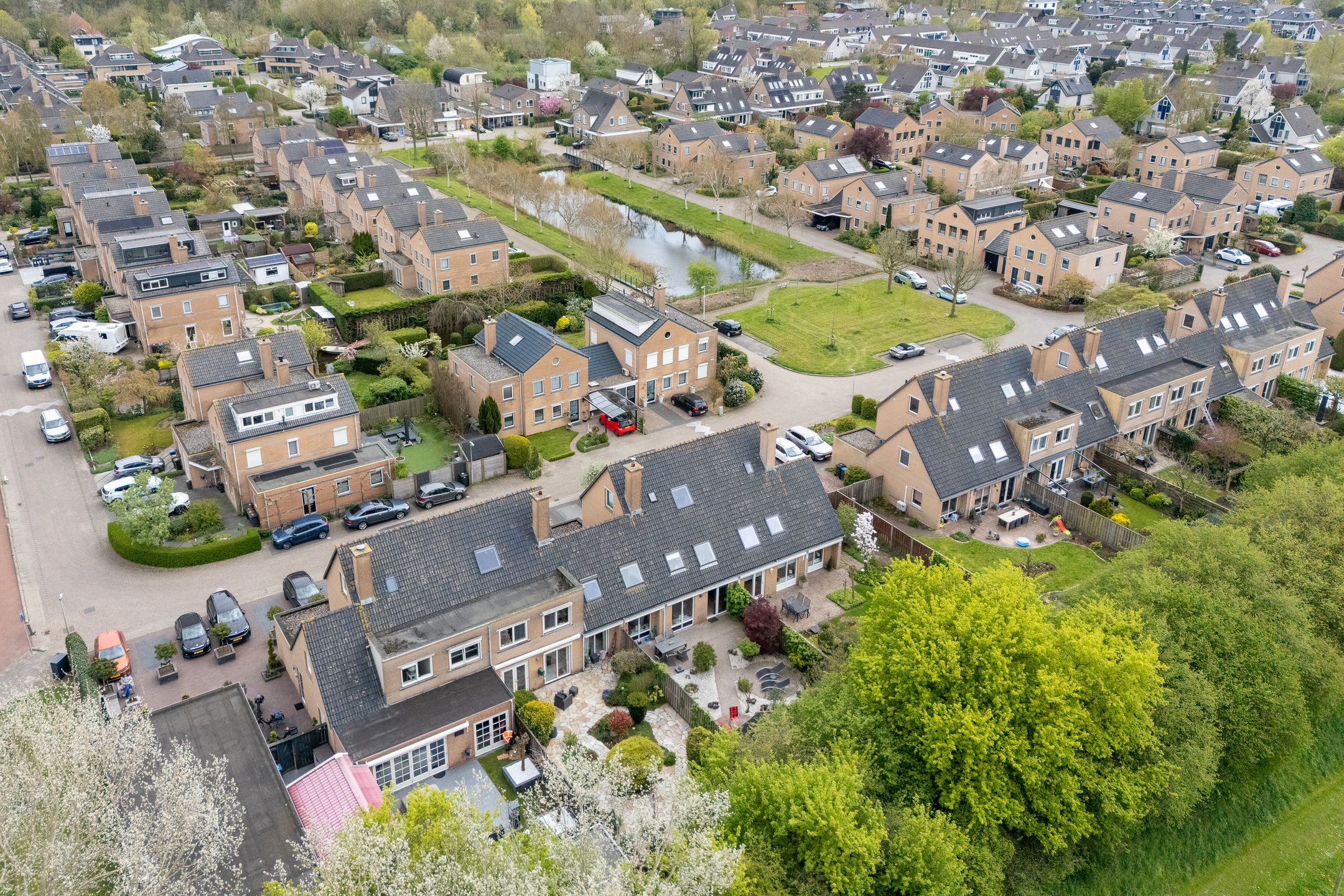 Foto 60 van Hunzebos 6