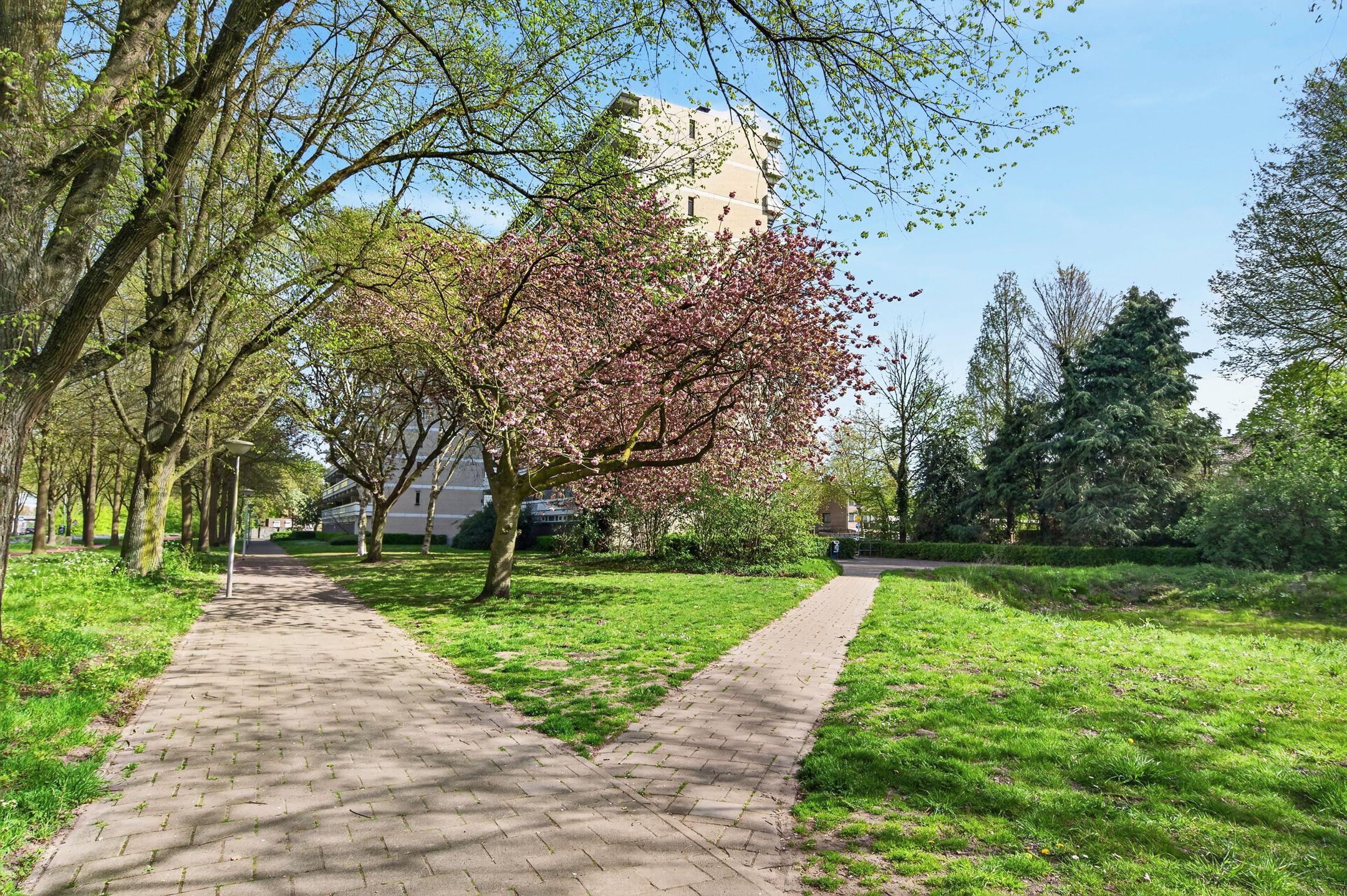 Photo 39 of de Koppele 625