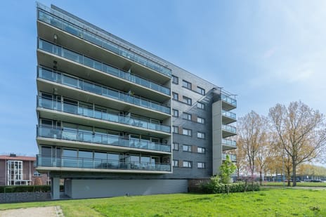 Annie Romeinstraat 38 secondary image