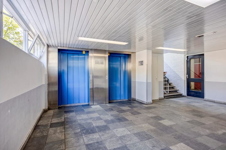 Foto 3 van Lokhorst 151