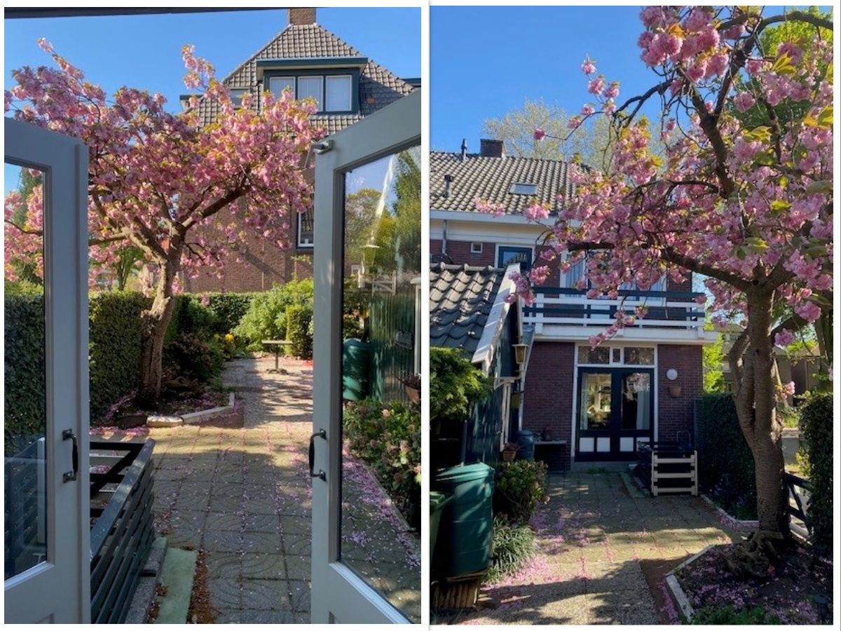 Photo 12 of Heeckerenlaan 27