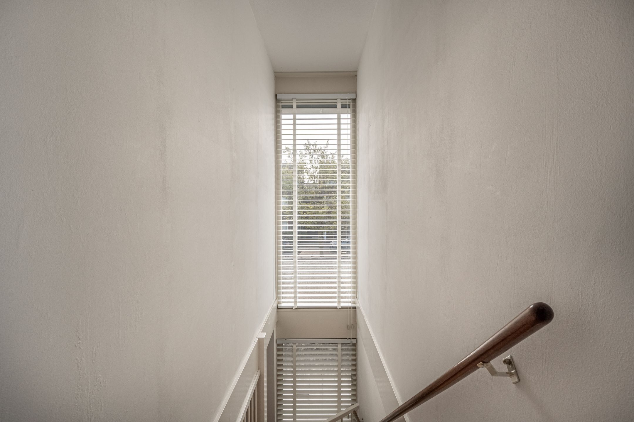 Foto 15 van De Grienden 19