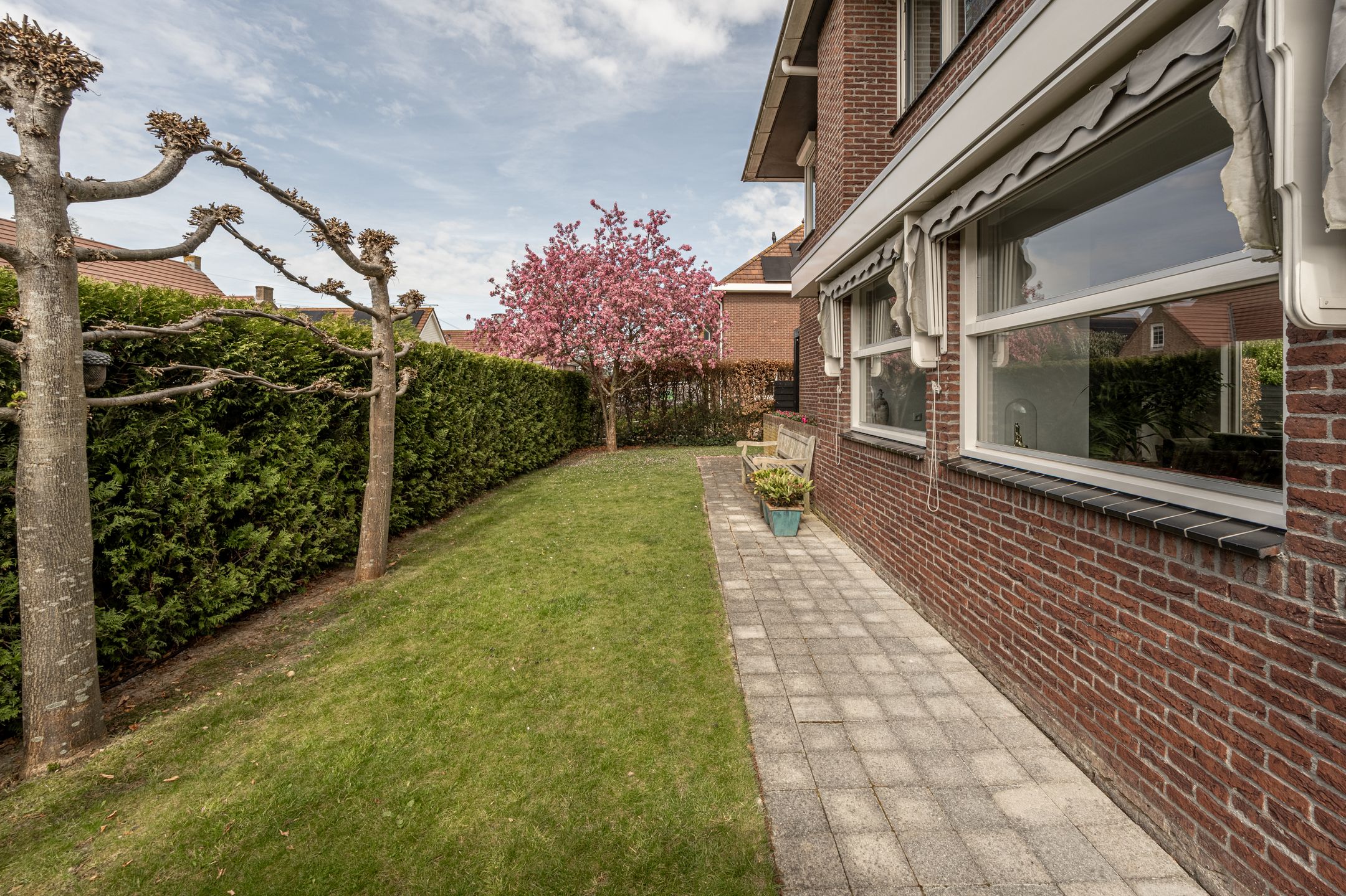 Foto 36 van De Grienden 19