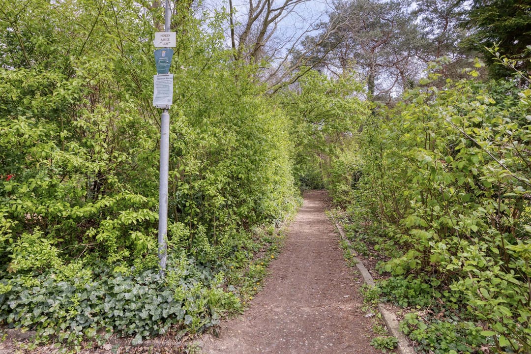 Foto 43 van De Kruigang 22