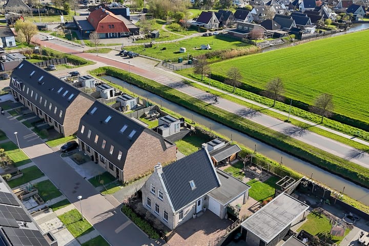 Boterbloem 2 main image