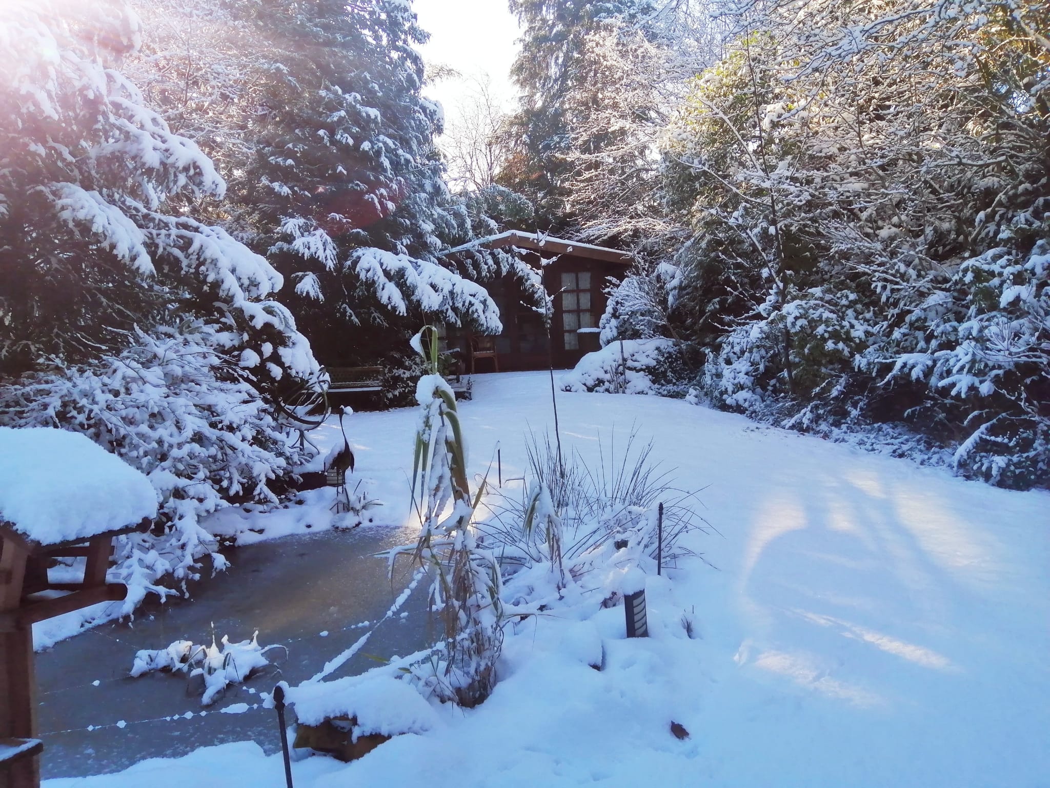 Foto 57 van Gebrande Hoefstraat 17