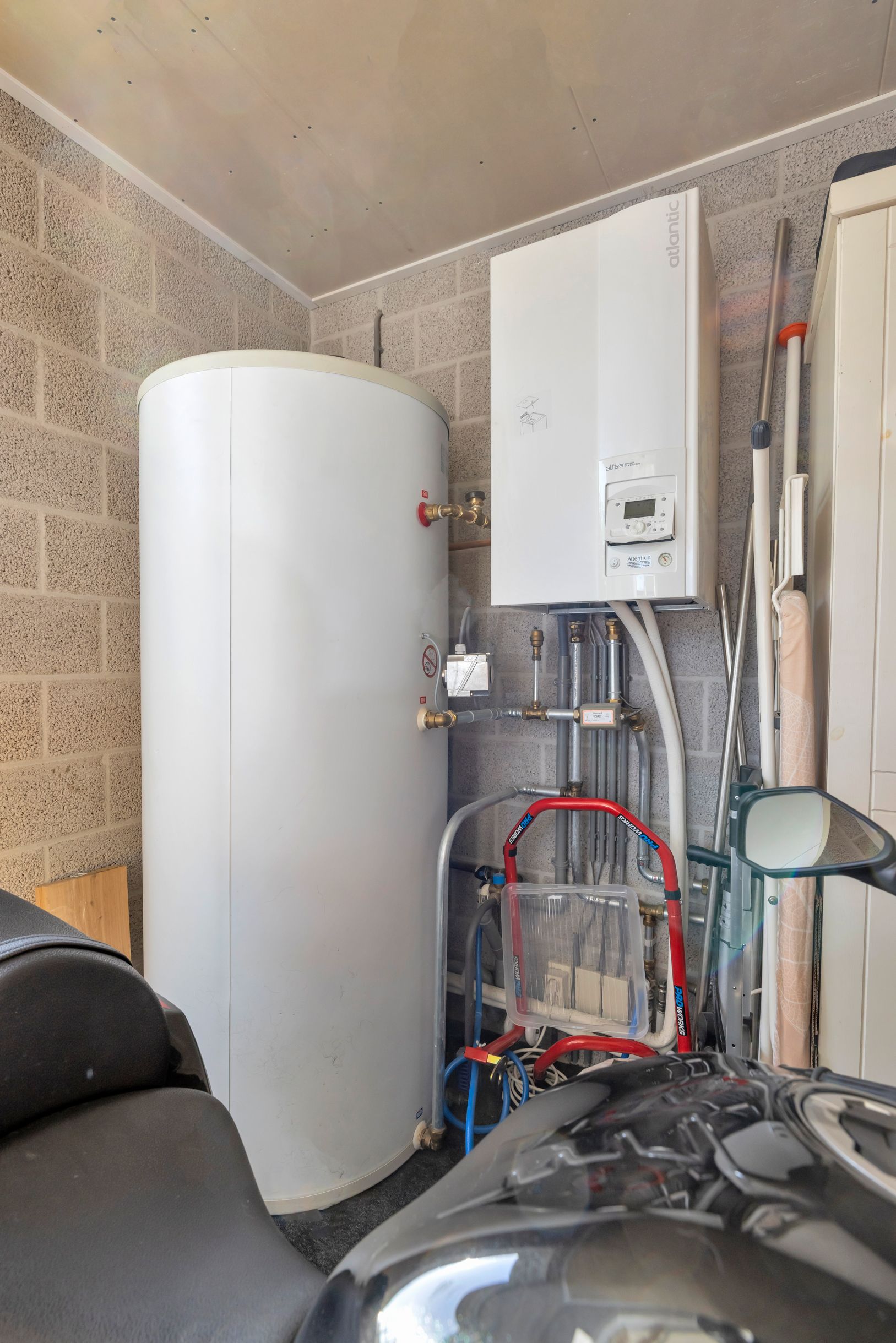 Foto 21 van Boterbloem 2