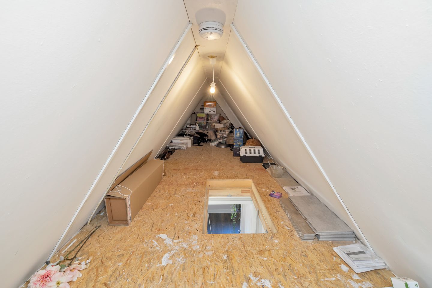 Foto 35 van Boterbloem 2