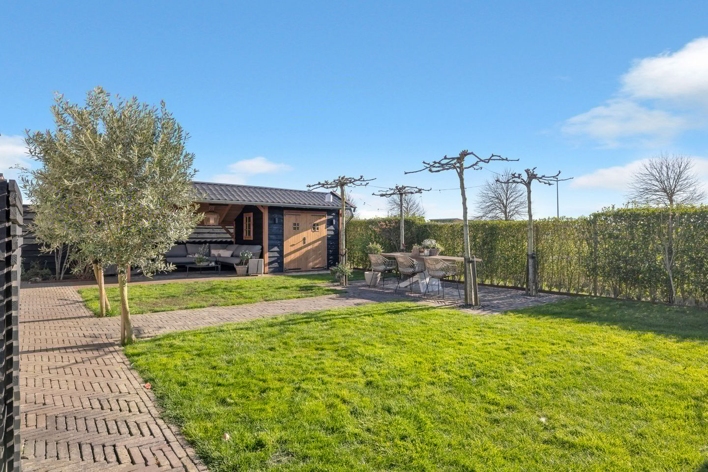 Foto 40 van Boterbloem 2