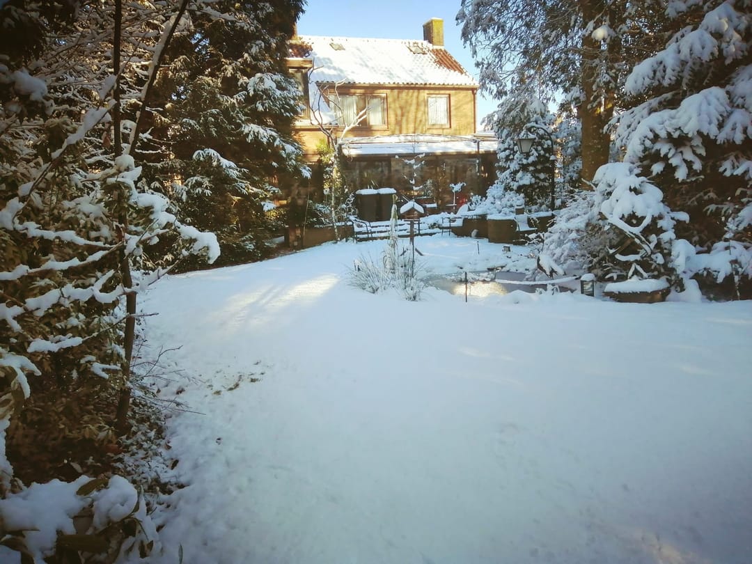 Foto 58 van Gebrande Hoefstraat 17