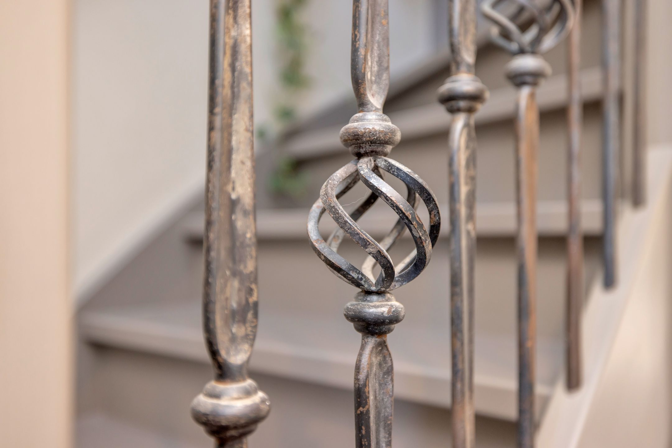 Foto 24 van Boterbloem 2