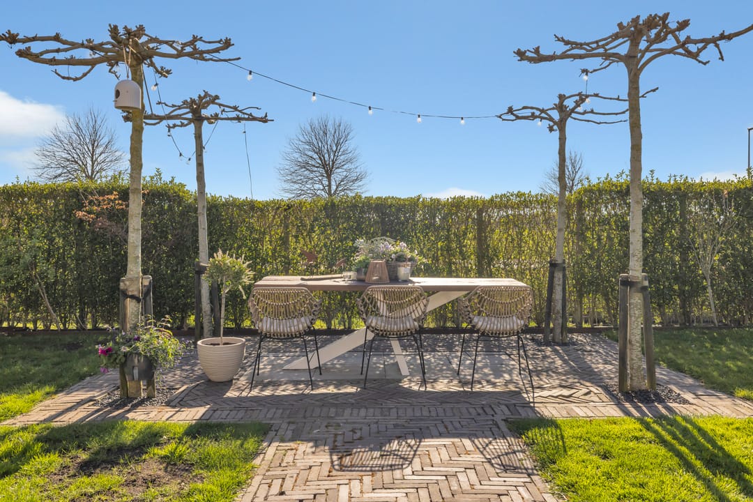 Foto 41 van Boterbloem 2