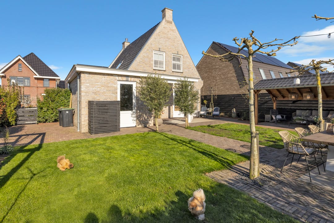 Foto 37 van Boterbloem 2